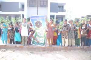 Tree Plantation World Record
