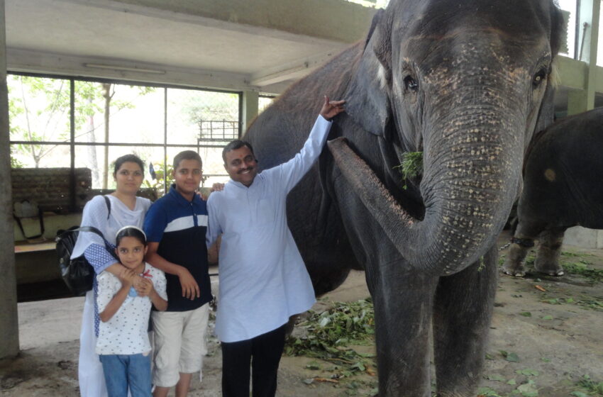  ELEPHANT ADOPTION TO SUPPORT SAVE ANIMAL MISSION