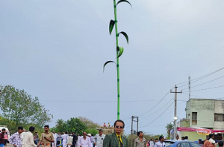 HIGHEST STRUCTURE OF THE PEARL MILLET (BAJRA) PLANT