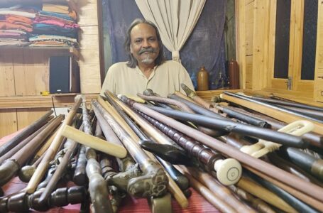 LARGEST COLLECTION OF UNIQUE INDIAN WALKING STICKS (CANE)