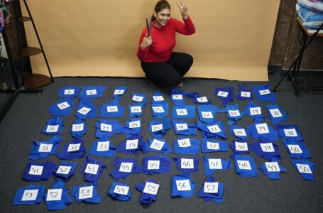 MAXIMUM NUMBER OF DIFFERENT BLOUSE PATTERNS CUT BY AN INDIVIDUAL