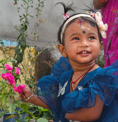  TODDLER TO SOLVE MULTIPLE ANIMAL PUZZLES